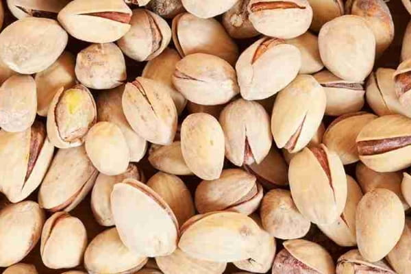 تصویر 4 از معرفی پسته بادامی فیض آباد + بهترین قیمت خرید